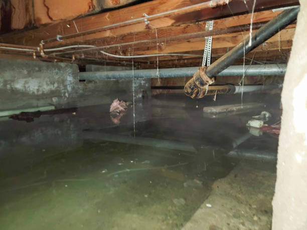 Best Emergency water extraction  in East Pasadena, CA
