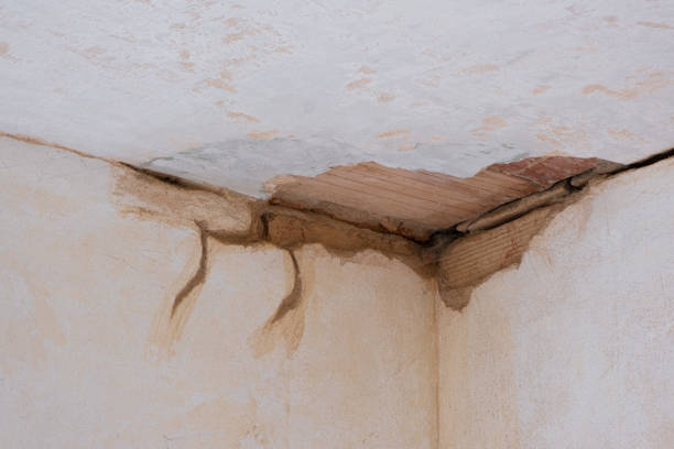 Best Water damage cleanup near me  in East Pasadena, CA