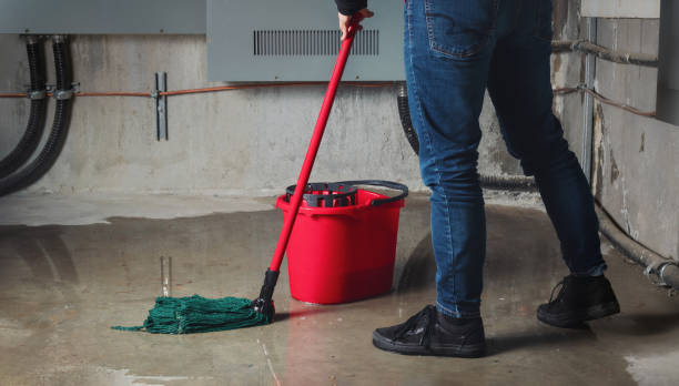 Best Flood restoration services  in East Pasadena, CA