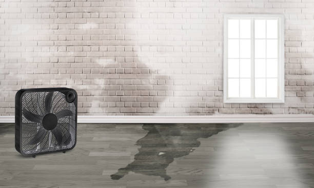 Best Flood restoration services  in East Pasadena, CA