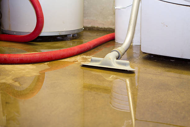Best Sewage cleanup and water damage restoration  in East Pasadena, CA