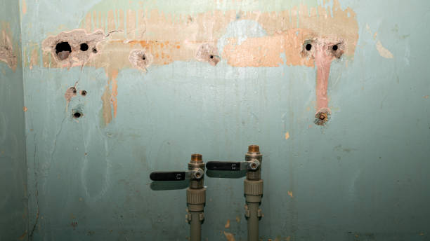 Best 24/7 water damage repair  in East Pasadena, CA