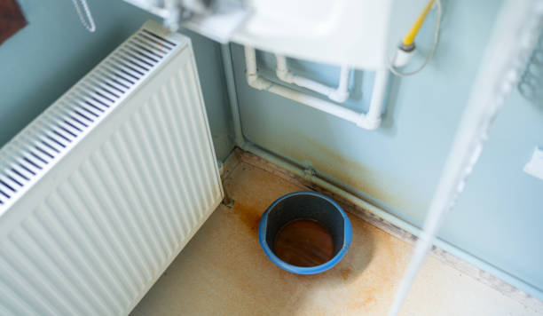 Best Water damage cleanup near me  in East Pasadena, CA