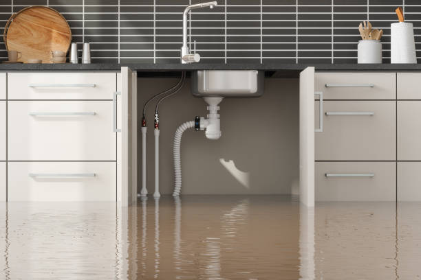 Best Sewage cleanup and water damage restoration  in East Pasadena, CA